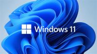 MS WINDOWS 11 HOME OEM  64BIT TR KW9-00660 - 1